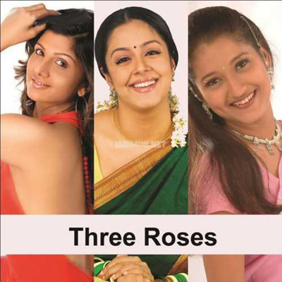 Three Roses Album Poster