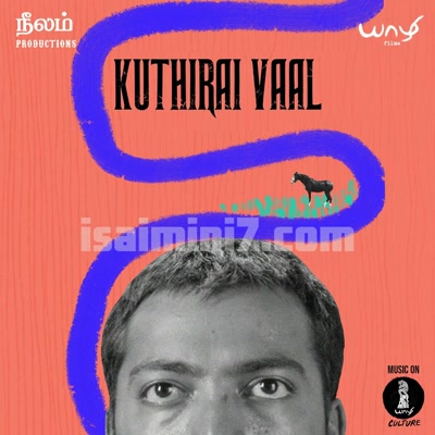 Kuthiraivaal