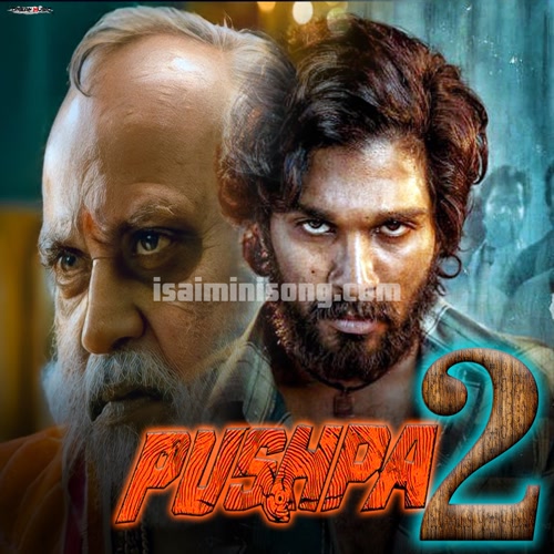 Pushpa 2 Album Poster
